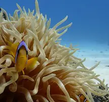 dive center